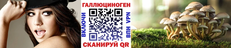 Купить закладки  Севск  Галлюциногенные грибы прущие грибы 